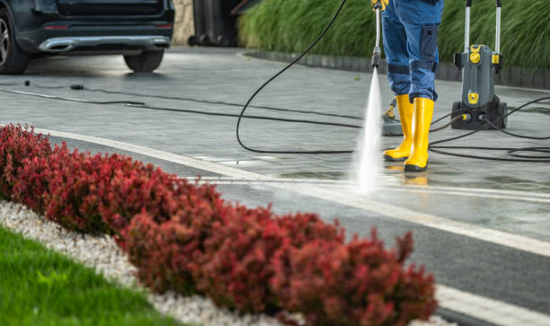 Best Pressure Washing Company Near Me  in Steelevle, IL